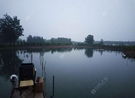 阜阳红雷家庭农场
