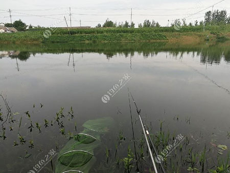 阜阳新寨河