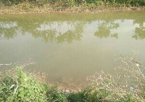 阜阳屈庄垂钓中心