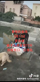 佛山掌柜钓鱼场