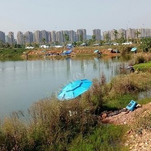 北京1982农场垂钓园