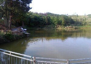 赣州三百山生态垂钓农场