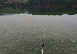 贵港白沙水库