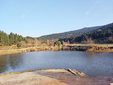 广元武五村农家小院