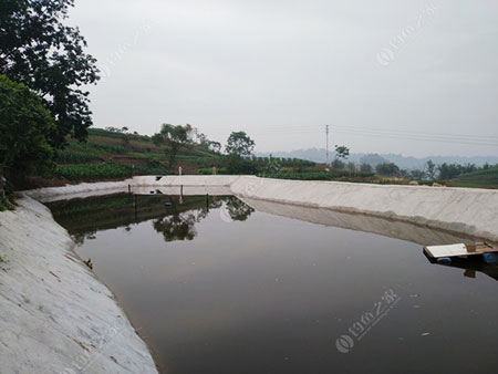 广安竹溪村老曹钓场
