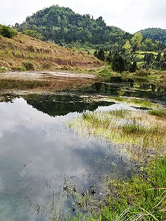 广安龙泉罐水库