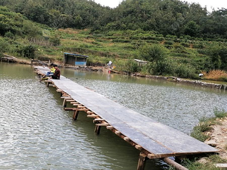 贵阳周家村大塘钓鱼塘