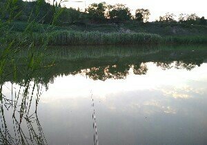 固原碱滩口水库