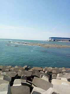 葫芦岛渤海