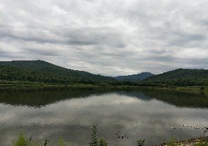 《哈尔滨附近好玩的收费钓鱼场/黑坑有哪些?》封面图