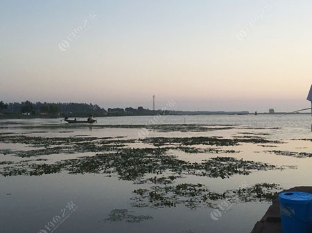 淮安白马湖渔家乐