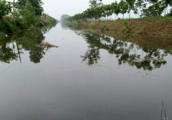 淮安白马湖农场灌溉河