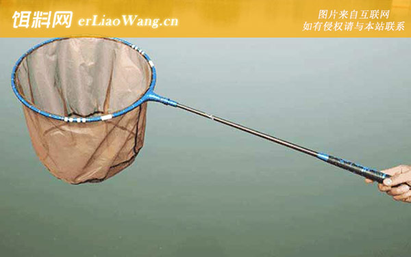 鱼护:抄网
