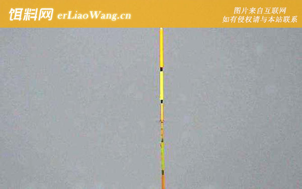 钓鱼看漂有什么技巧-抢漂