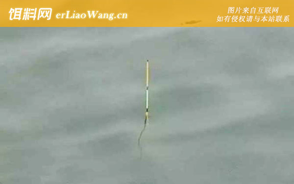 传统钓立漂怎么调漂-注意事项