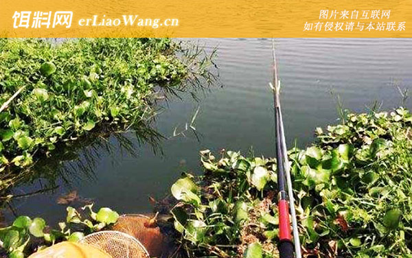 传统钓:作钓体验不高