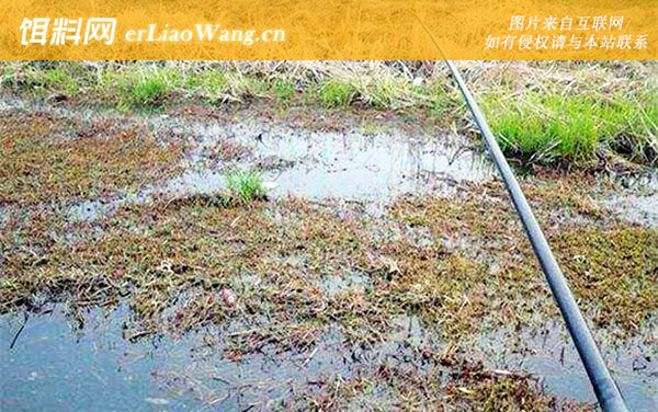 传统钓:渔具商不赚钱