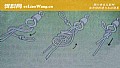 《正确的子线连接八字环方法》封面图