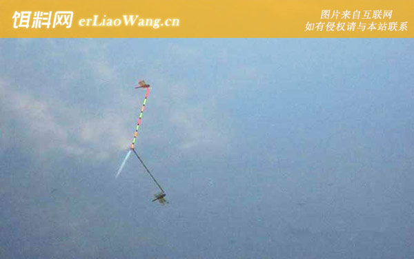 单钩立漂怎么调漂-注意事项