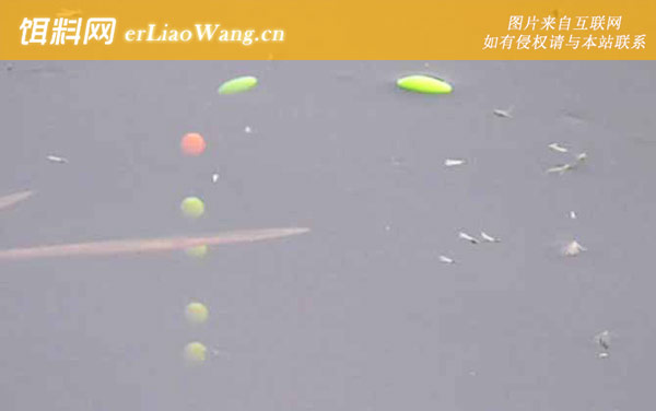 七星漂如何判断鱼上钩了-移漂