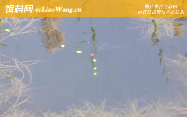 七星漂:流水钓法