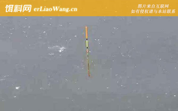 商品饵料钓鱼怎么看漂相-送漂