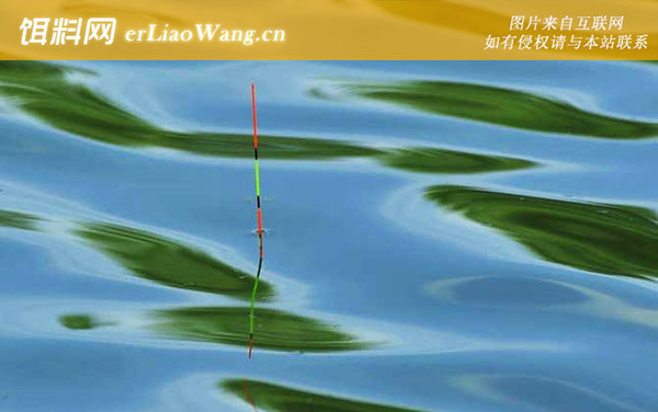 钓罗非鱼什么漂相提竿-移漂