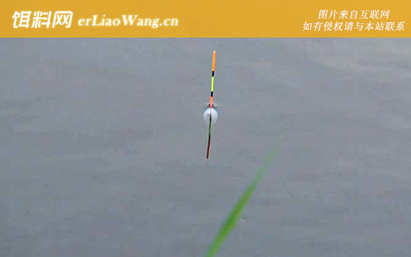 钓鱼漂相大全及最佳提竿时机-送漂