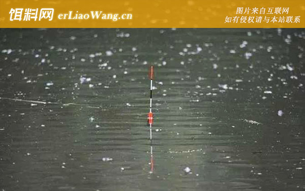 浮漂怎么动才知道上鱼了-横漂