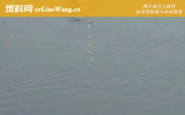 鲤鱼吃钩漂相是什么样子-斜漂