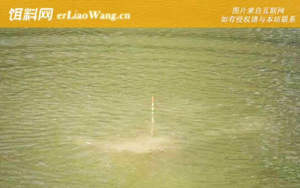 漂相:浮漂出现位移