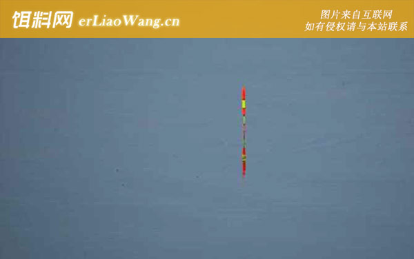 大送漂不中鱼是怎么回事-饵料太硬