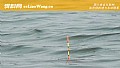 《顿口(顿漂)是什么意思?》封面图