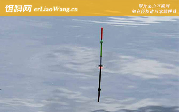 标准下顿口提竿不中鱼什么原因-鱼体压线