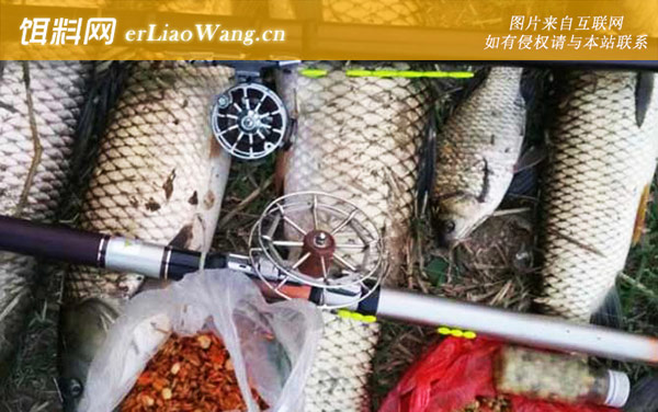 谷麦钓法:注意事项