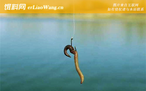 传统钓:传统钓有哪些优势?