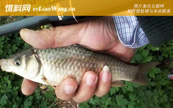 传统钓:传统钓有哪些不足?