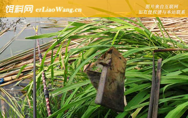 传统钓法:传统钓法有什么缺点?