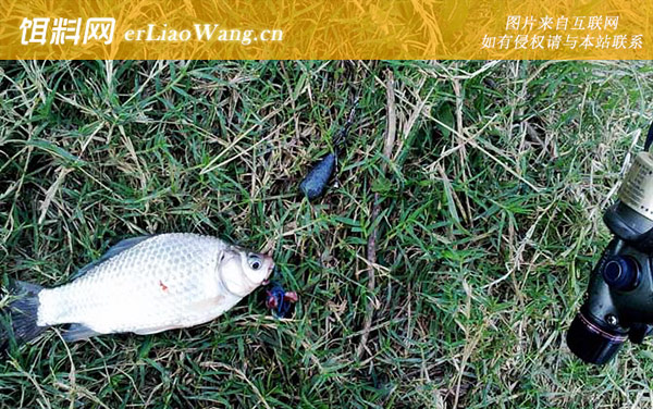 传统钓法:传统钓法有哪些种类?