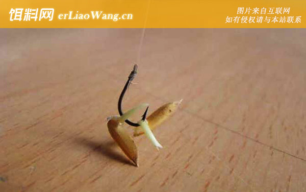 传统钓:传统钓和台钓哪个钓法好?