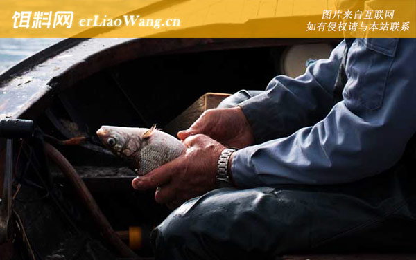 钓鱼:钓鱼的好处有哪些？