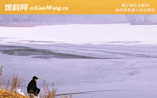 冬季钓鱼:水位适当