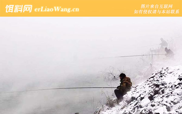 冬季钓鱼:饵料合理