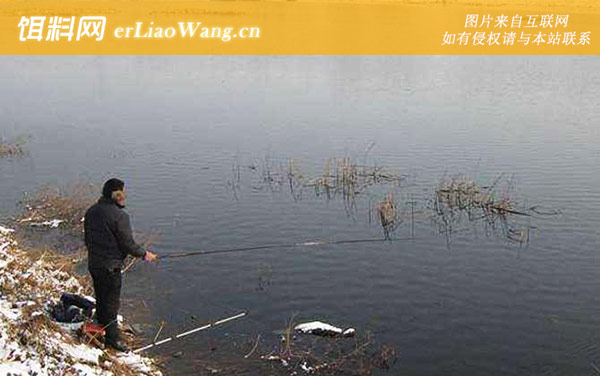 冬季钓鱼:坚持诱鱼