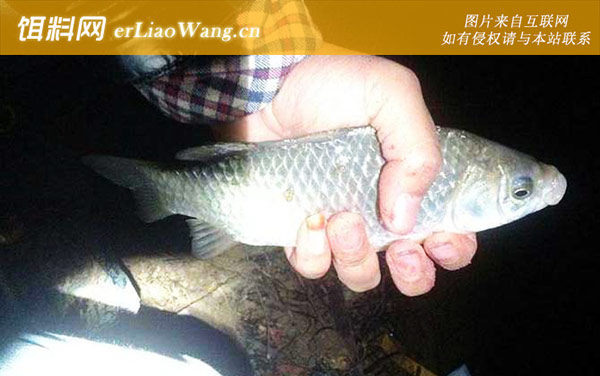 调漂:调漂最简单方法