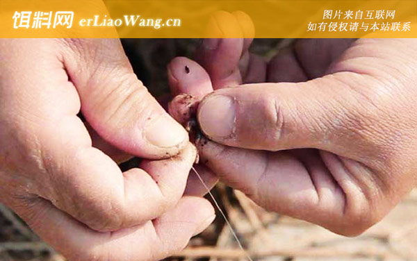 调漂:调钓有哪些方法？