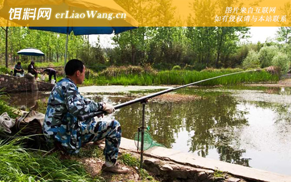 春季钓鱼:暮春钓鱼
