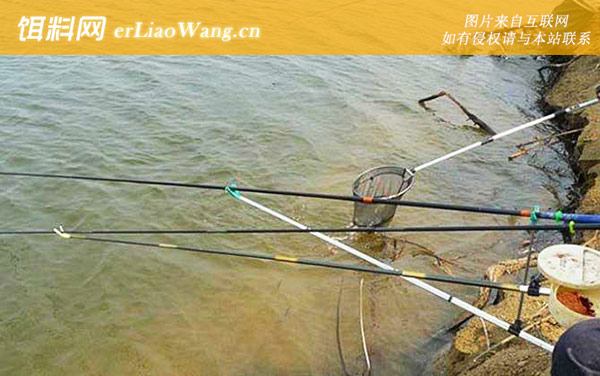 春季钓鱼:根据天气选钓点