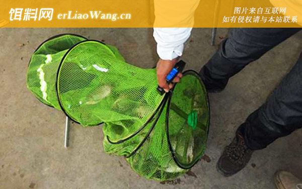 初春钓鱼:作钓原则