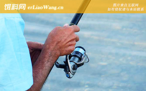 海钓如何抛竿:海竿种类
